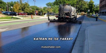 Katran Ne İşe Yarar?