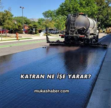 Katran Ne İşe Yarar?