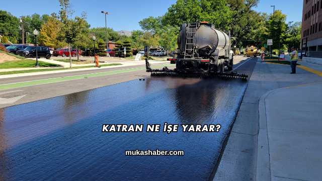 Katran Ne İşe Yarar?