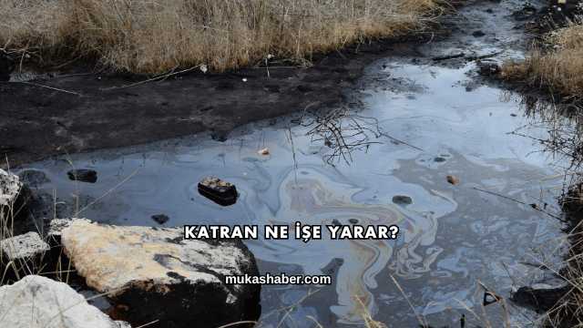 Katran Ne İşe Yarar?