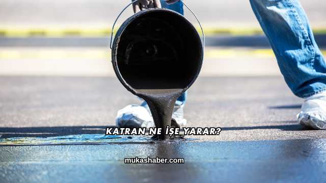 Katran Ne İşe Yarar?