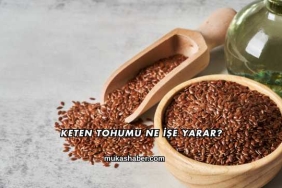 Keten Tohumu Ne İşe Yarar?