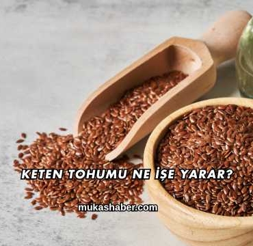 Keten Tohumu Ne İşe Yarar?