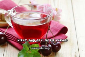 Kiraz Sapı Çayı Ne İşe Yarar?