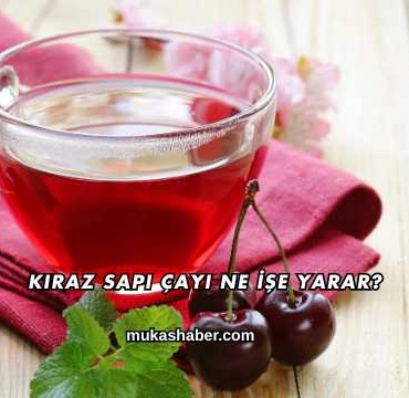 Kiraz Sapı Çayı Ne İşe Yarar?