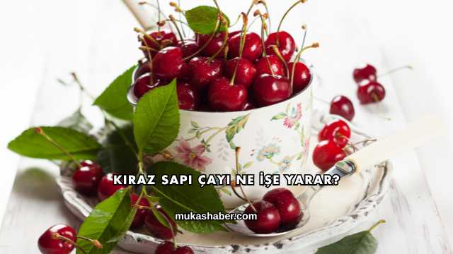 Kiraz Sapı Çayı Ne İşe Yarar?