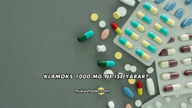Klamoks 1000 Mg Ne İşe Yarar?