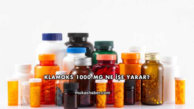 Klamoks 1000 Mg Ne İşe Yarar?