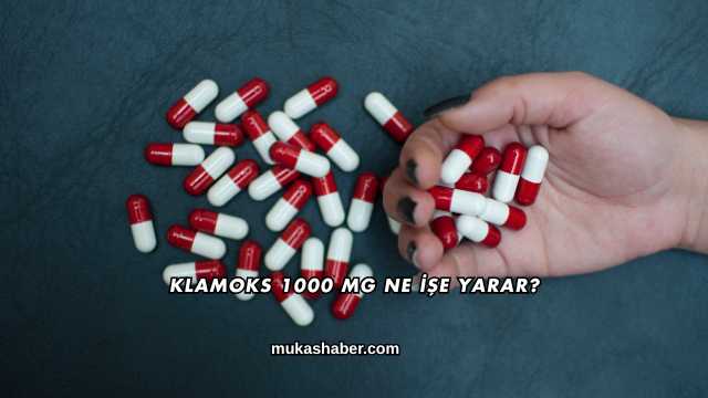 Klamoks 1000 Mg Ne İşe Yarar?