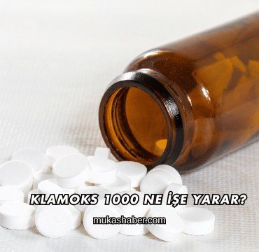 Klamoks 1000 Ne İşe Yarar?