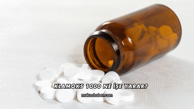Klamoks 1000 Ne İşe Yarar?