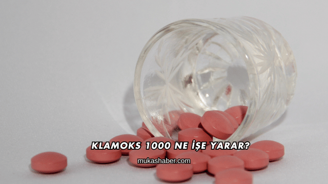 Klamoks 1000 Ne İşe Yarar?