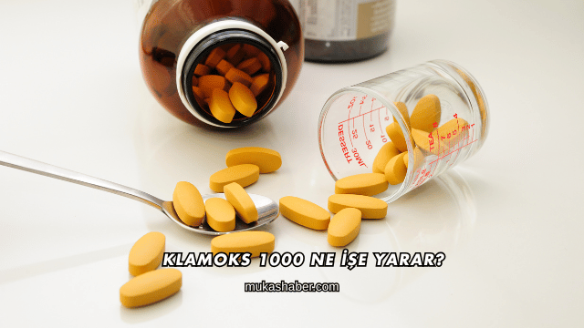 Klamoks 1000 Ne İşe Yarar?