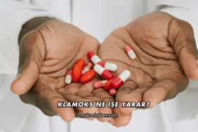 Klamoks Ne İşe Yarar?