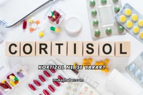 Kortizol Ne İşe Yarar?