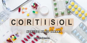 Kortizol Ne İşe Yarar?