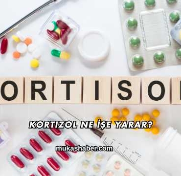 Kortizol Ne İşe Yarar?