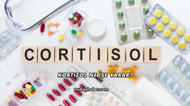 Kortizol Ne İşe Yarar?