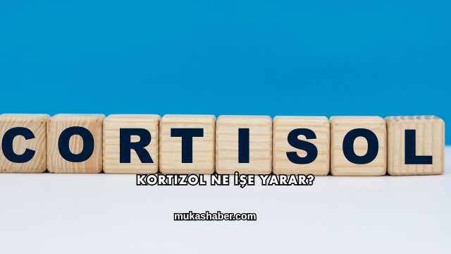 Kortizol Ne İşe Yarar?