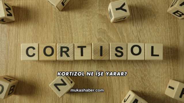 Kortizol Ne İşe Yarar?