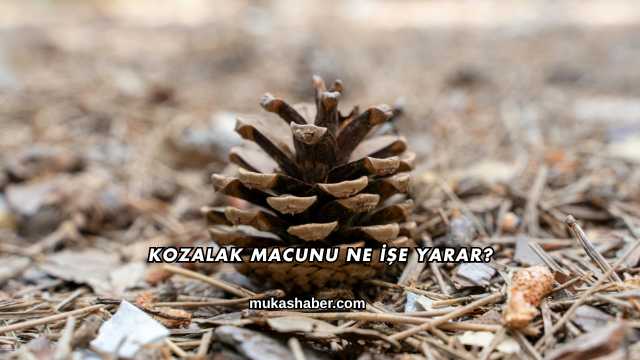 Kozalak Macunu Ne İşe Yarar?