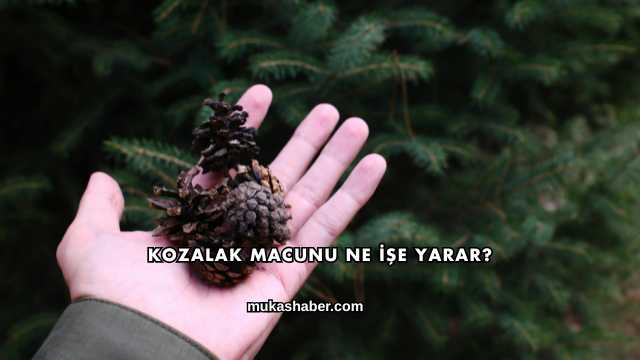 Kozalak Macunu Ne İşe Yarar?