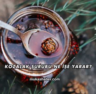 Kozalak Şurubu Ne İşe Yarar?