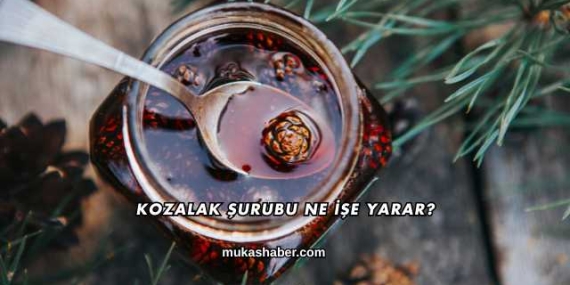 Kozalak Şurubu Ne İşe Yarar?