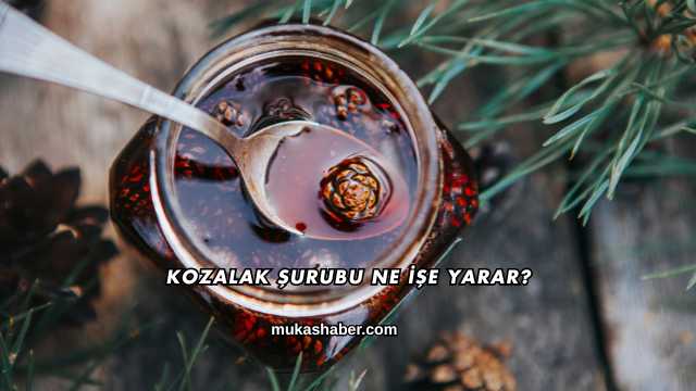 Kozalak Şurubu Ne İşe Yarar?