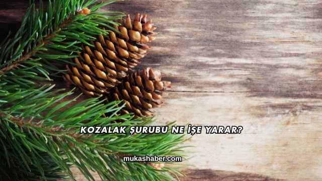 Kozalak Şurubu Ne İşe Yarar?