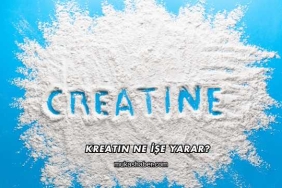 Kreatin Ne İşe Yarar?