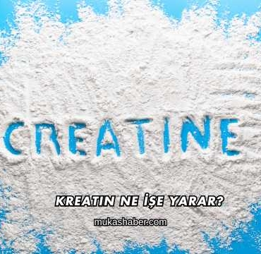 Kreatin Ne İşe Yarar?