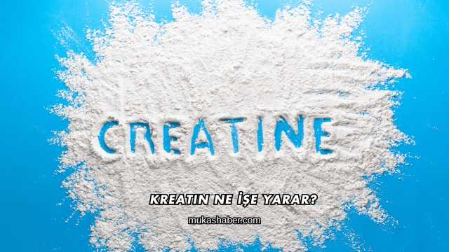 Kreatin Ne İşe Yarar?