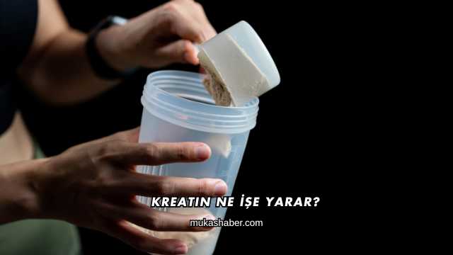 Kreatin Ne İşe Yarar?