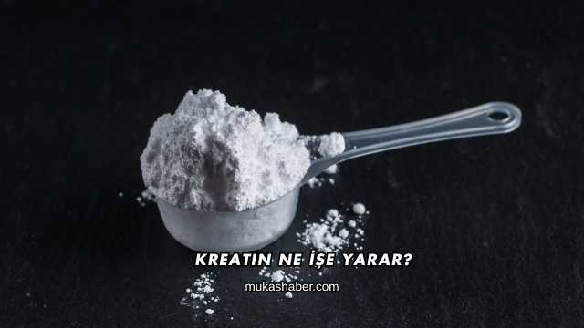 Kreatin Ne İşe Yarar?