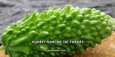 Kudret Narı Ne İşe Yarar?