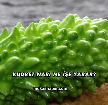 Kudret Narı Ne İşe Yarar?