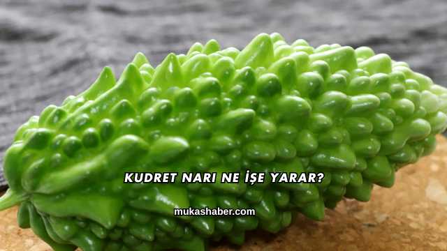 Kudret Narı Ne İşe Yarar?