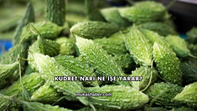 Kudret Narı Ne İşe Yarar?