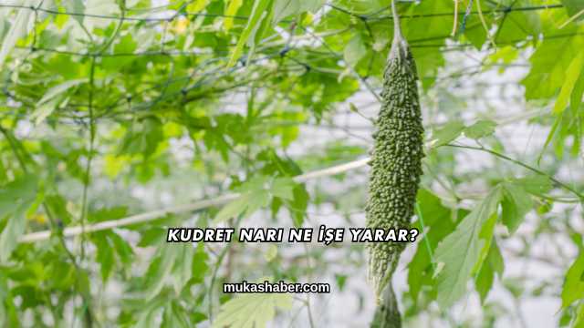 Kudret Narı Ne İşe Yarar?