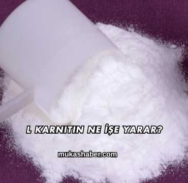 L Karnitin Ne İşe Yarar?