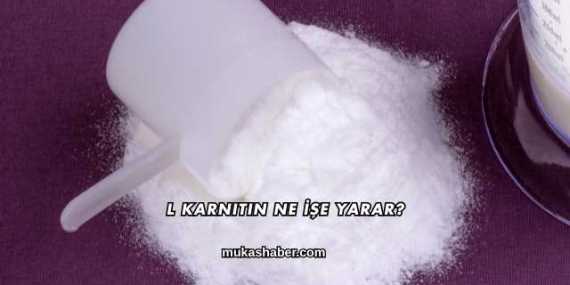 L Karnitin Ne İşe Yarar?