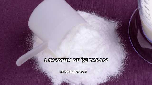 L Karnitin Ne İşe Yarar?