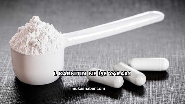L Karnitin Ne İşe Yarar?