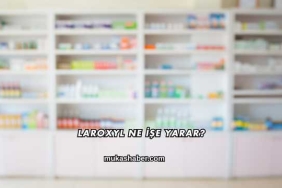 Laroxyl Ne İşe Yarar?