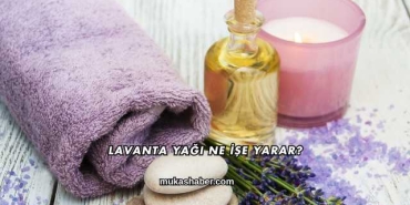 Lavanta Yağı Ne İşe Yarar?