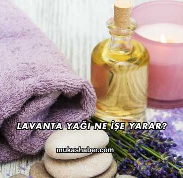 Lavanta Yağı Ne İşe Yarar?
