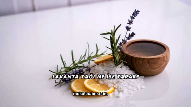 Lavanta Yağı Ne İşe Yarar?