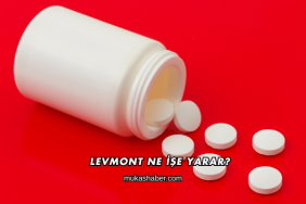 Levmont Ne İşe Yarar?