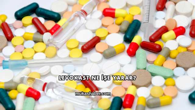 Levokast Ne İşe Yarar?